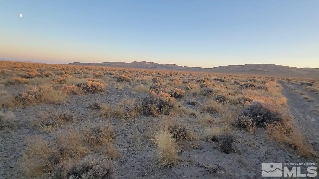 12017 Power Line Road Property Photo 6