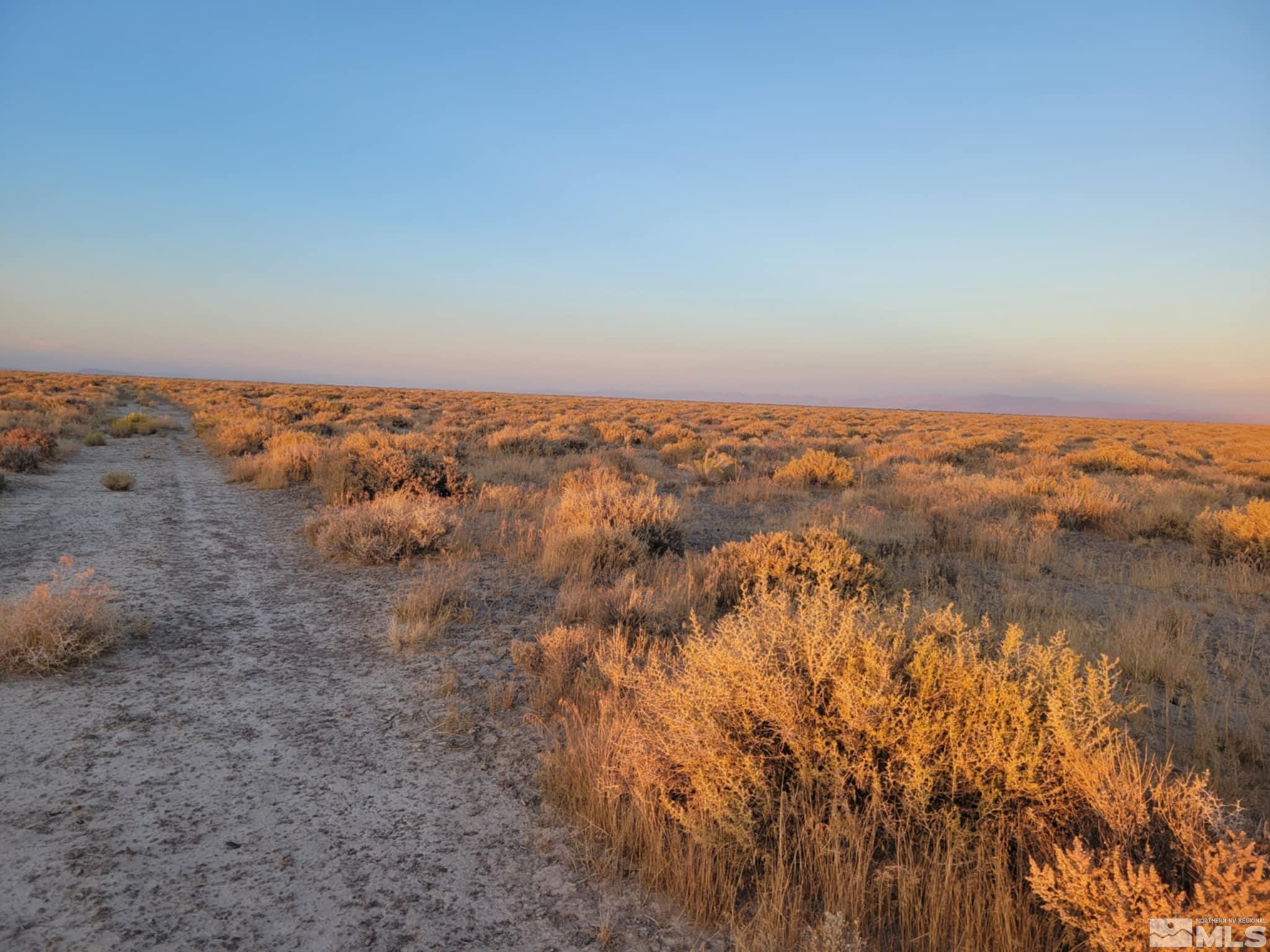 12017 Power Line Road Property Photo 7