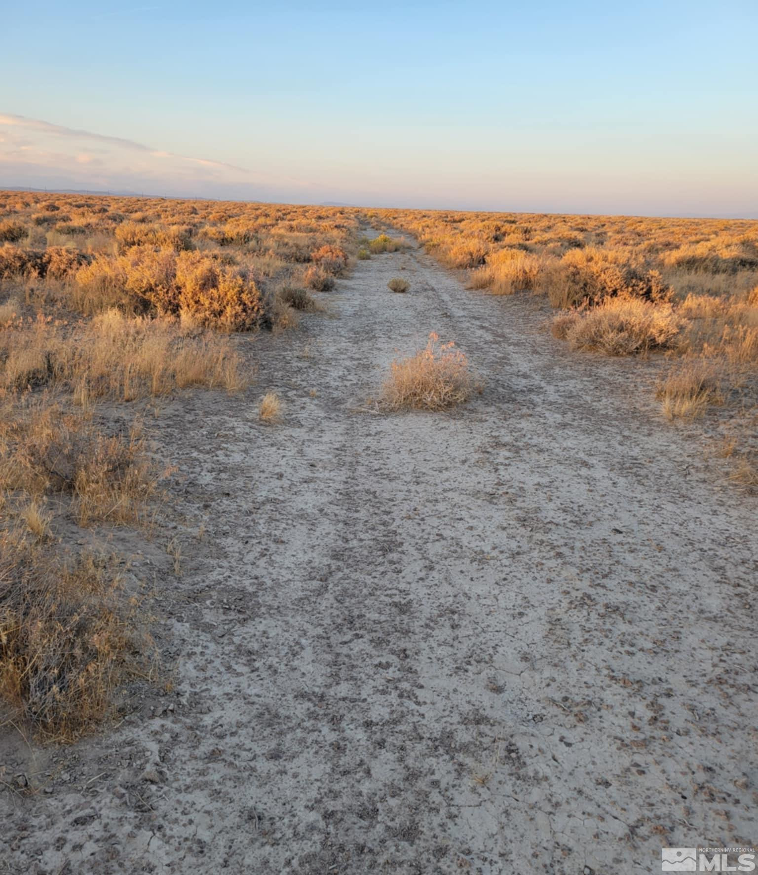 12017 Power Line Road Property Photo 8