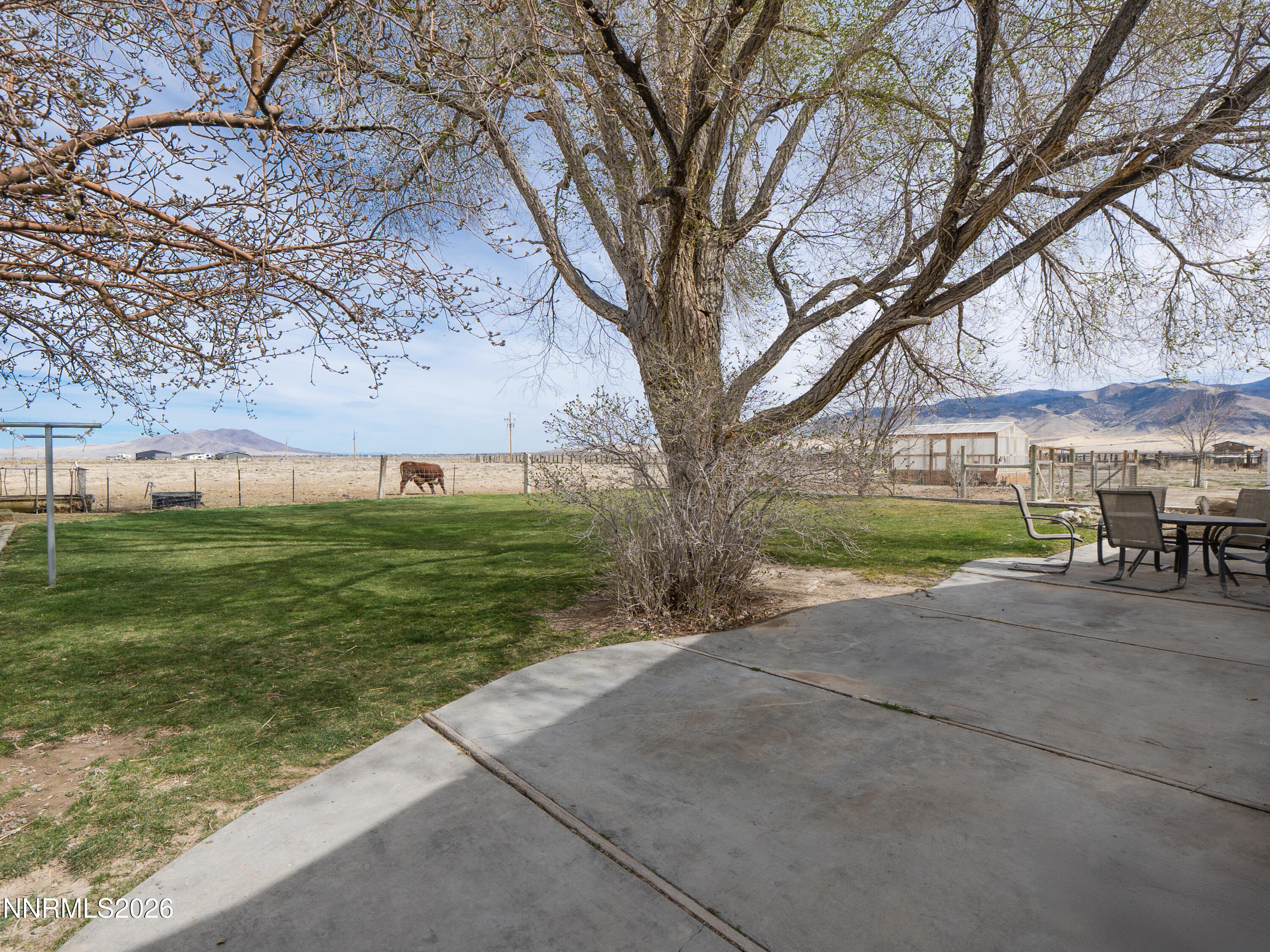 2625 Muddy Road Property Photo 13
