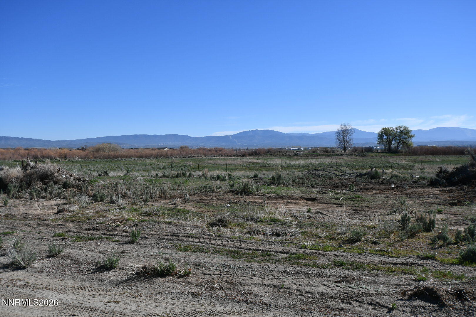 1597 Us Highway 395 Property Photo 9