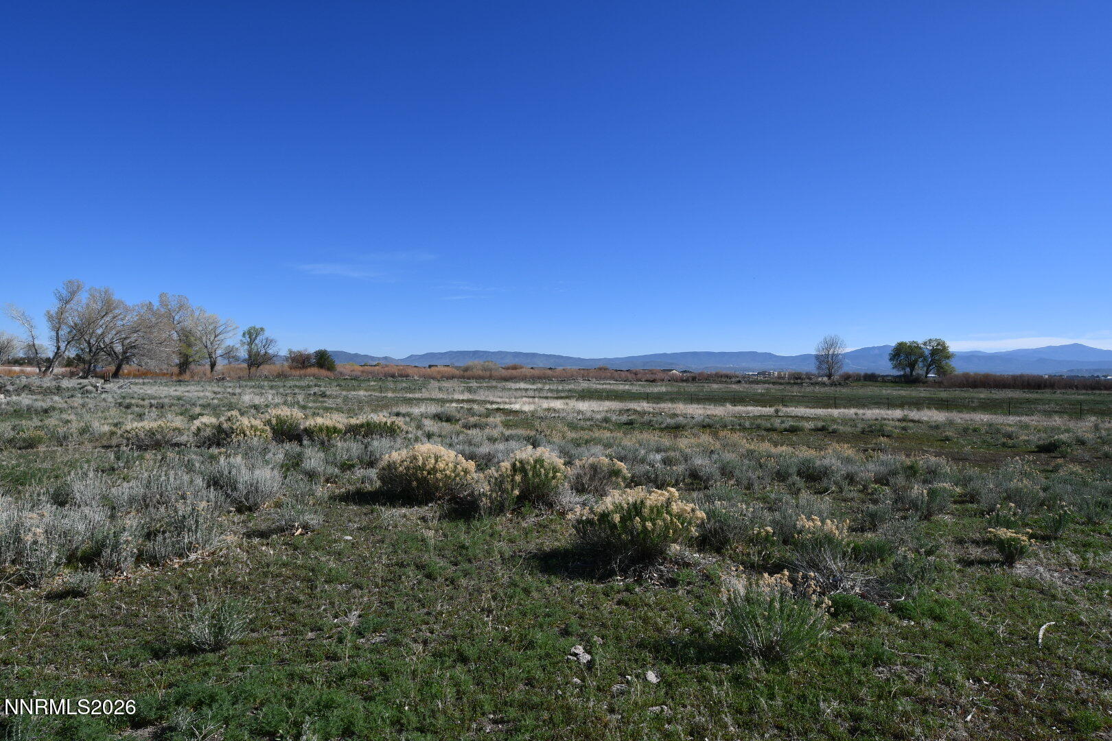 1597 Us Highway 395 Property Photo 11