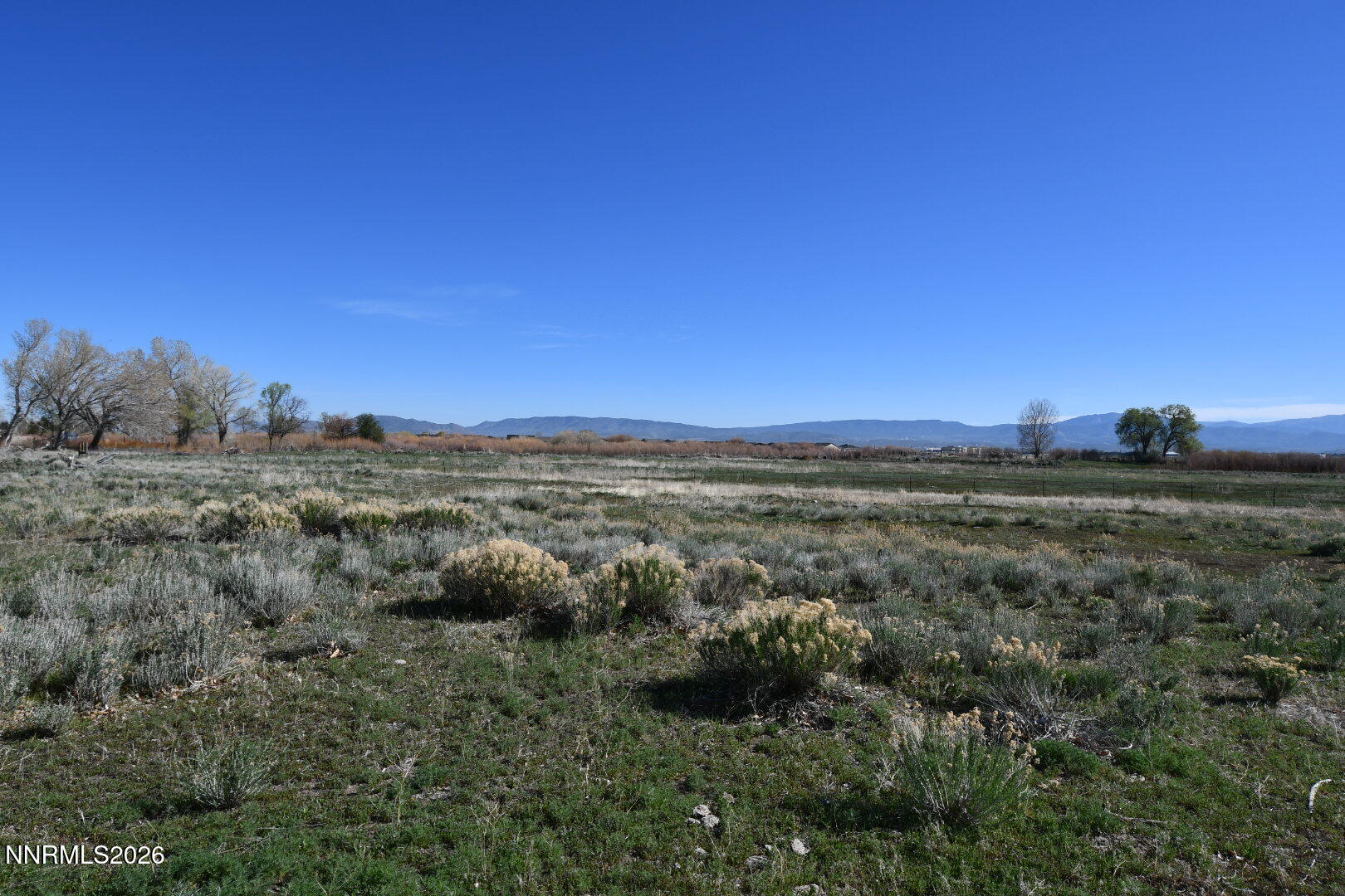 1597 Us Highway 395 Property Photo 12