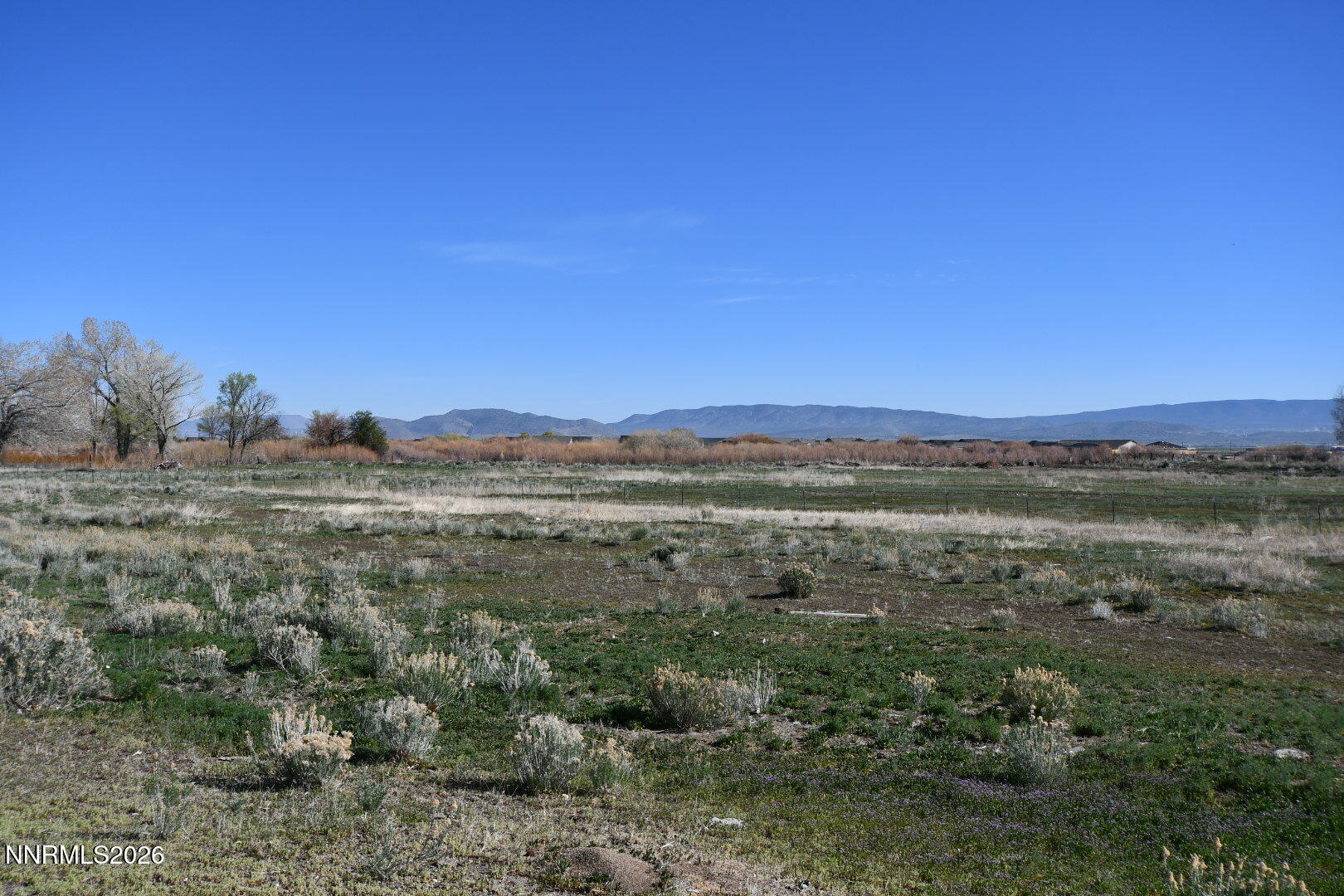 1597 Us Highway 395 Property Photo 13