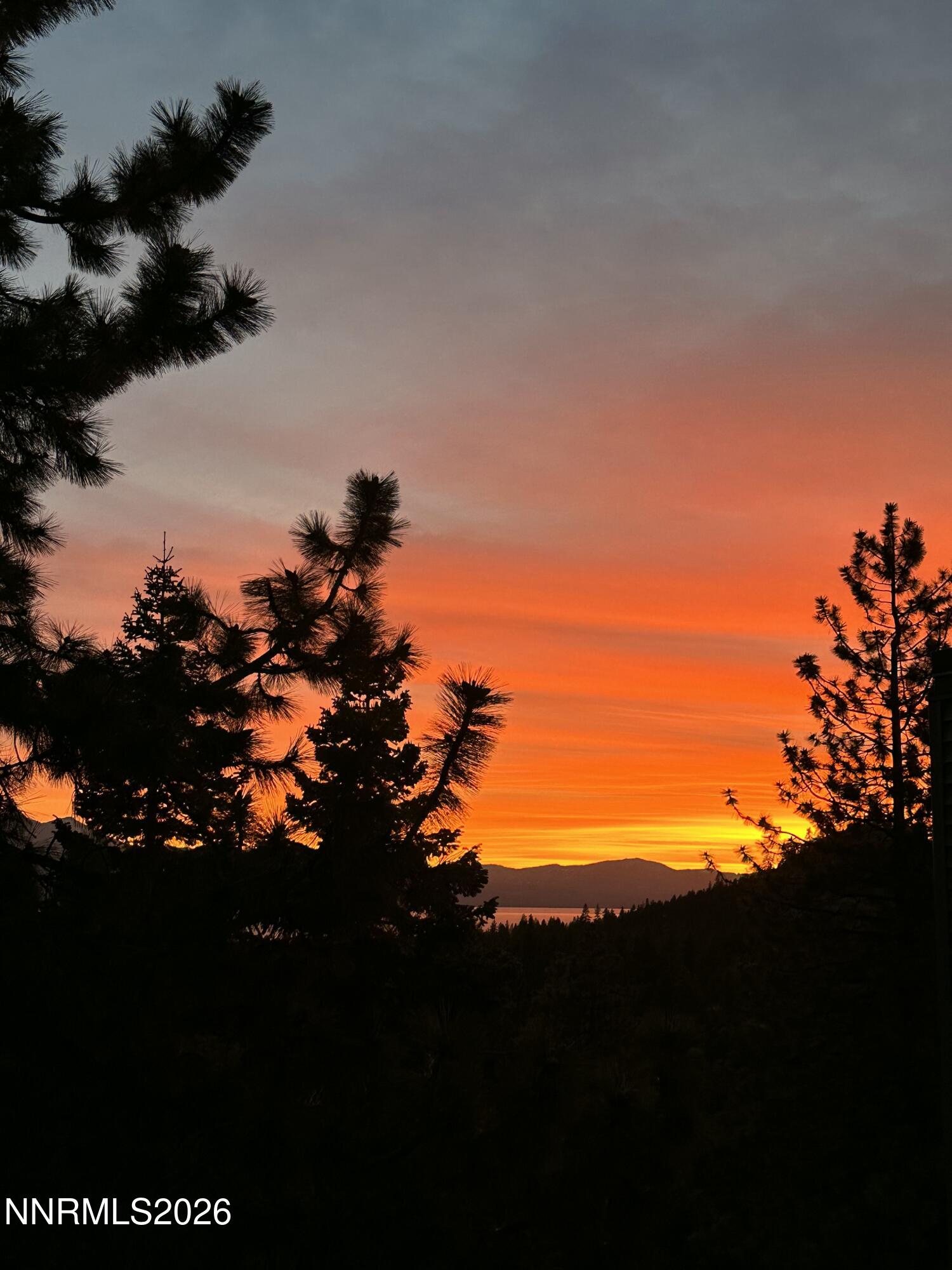 133 Holly Lane Property Photo 34