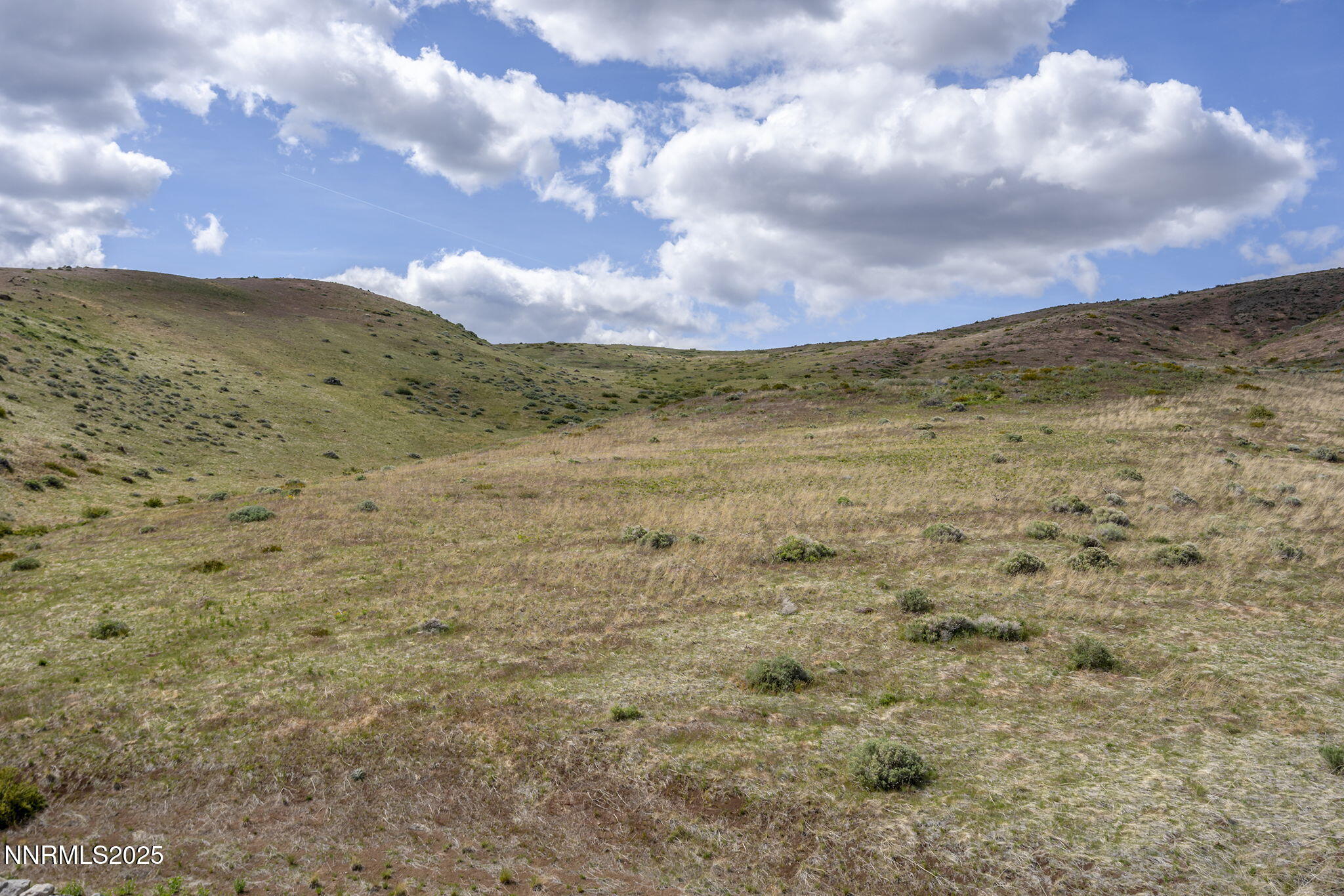 9129 Wild Skies Way Property Photo 7