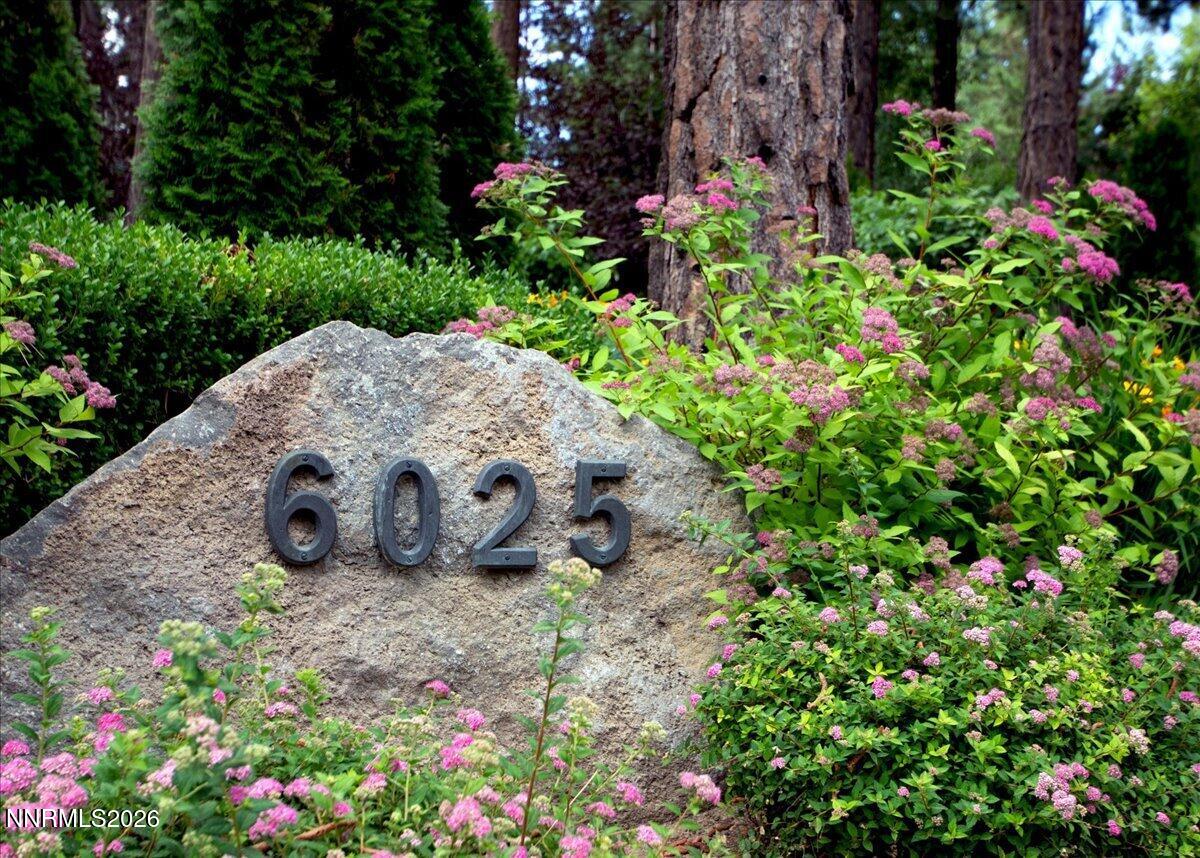 6025 Lake Geneva Drive Property Photo 60