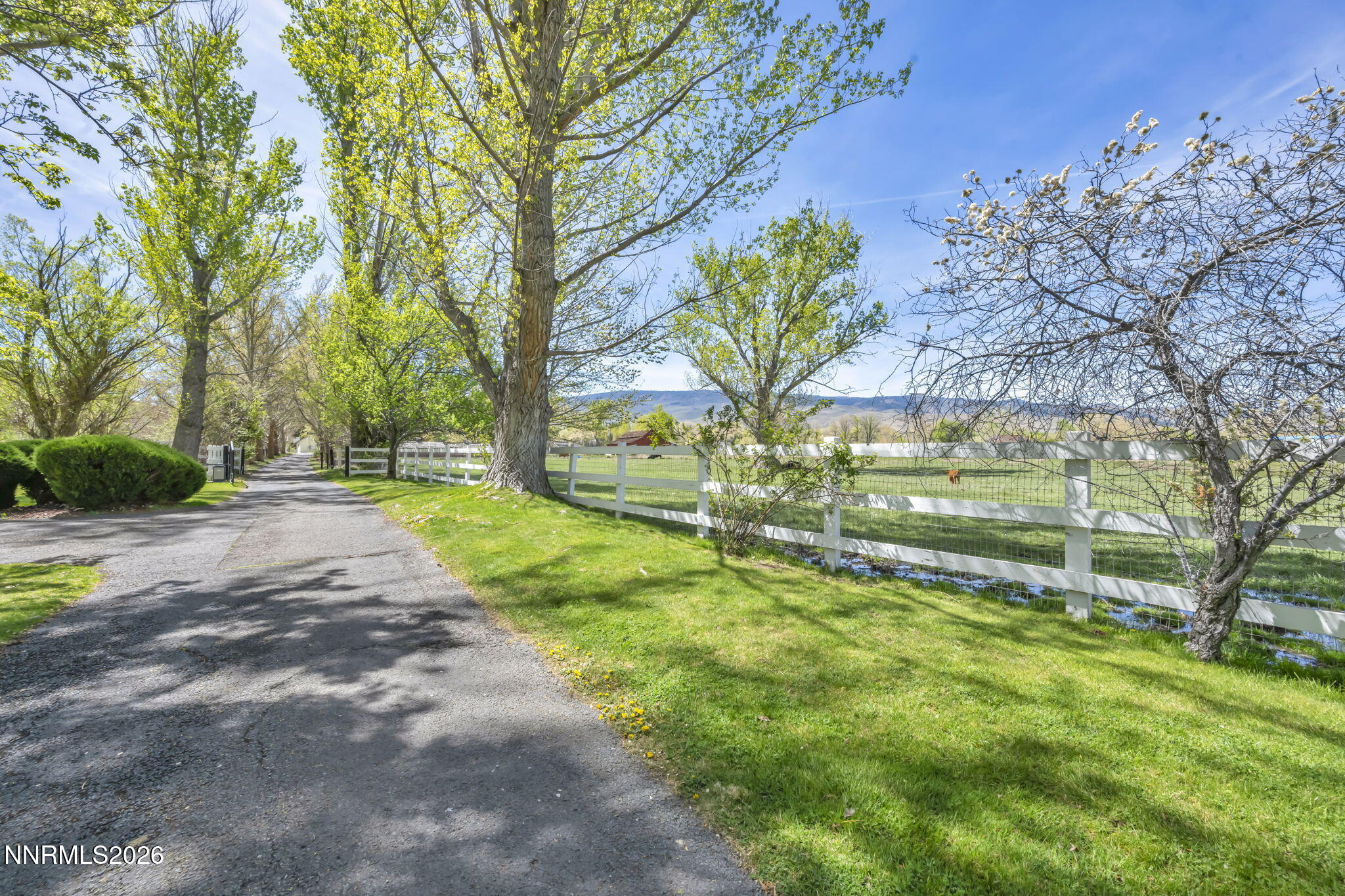 2501 Holcomb Ranch Lane Property Photo 15