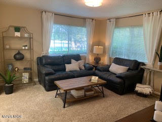 2501 Holcomb Ranch Lane Property Photo 99