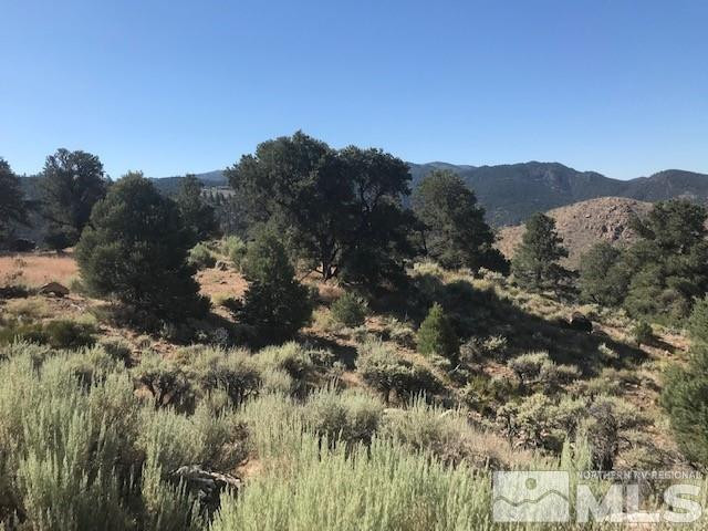 20 Toll Road Property Photo 4