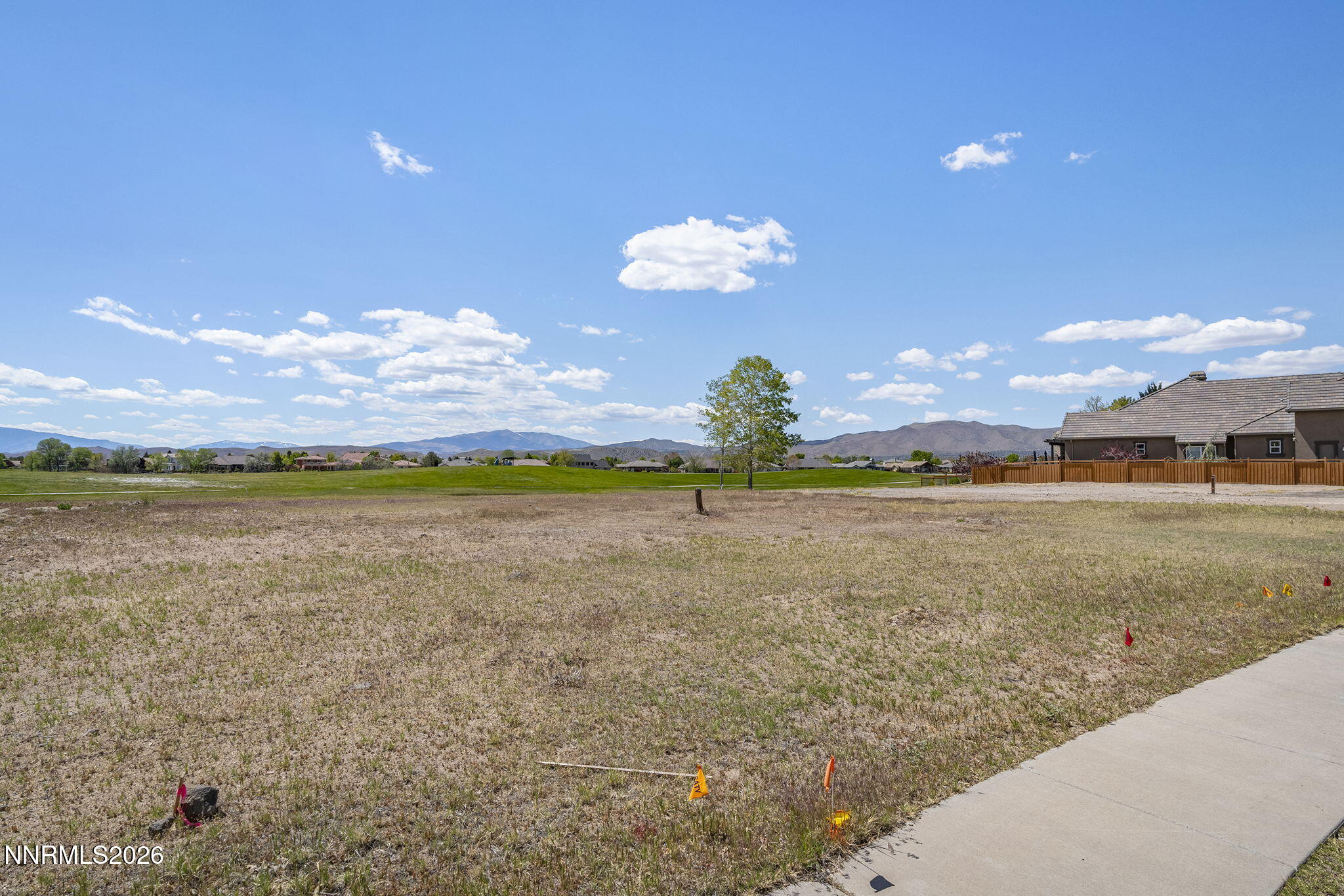 7333 Silver King Drive Property Photo 6