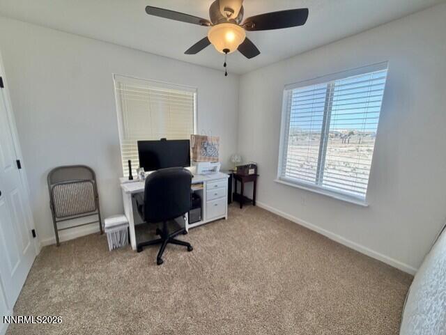 1135 Jungle Drive Property Photo 14