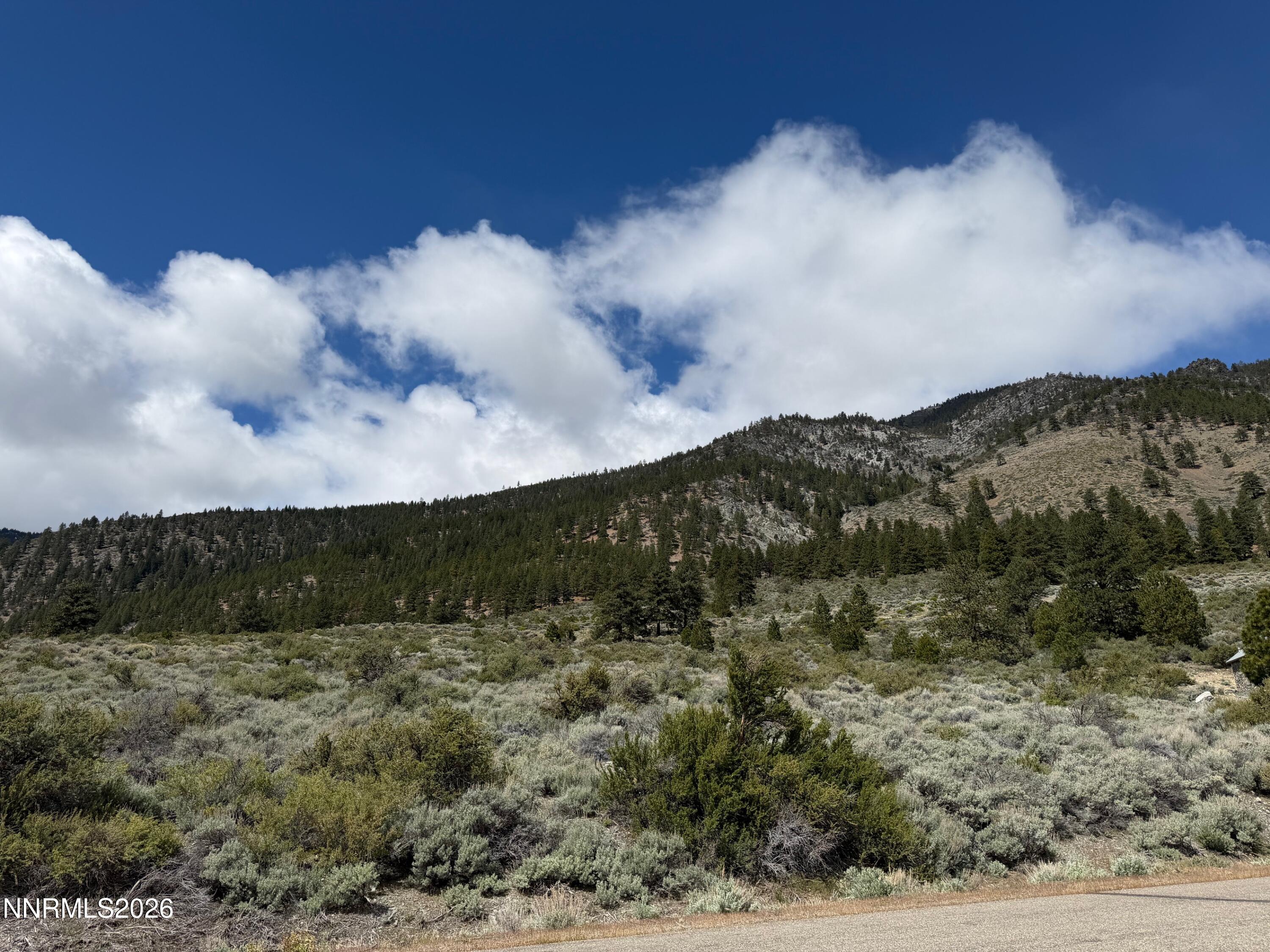 2527 Eagle Ridge Road Lot 41 Property Photo 5