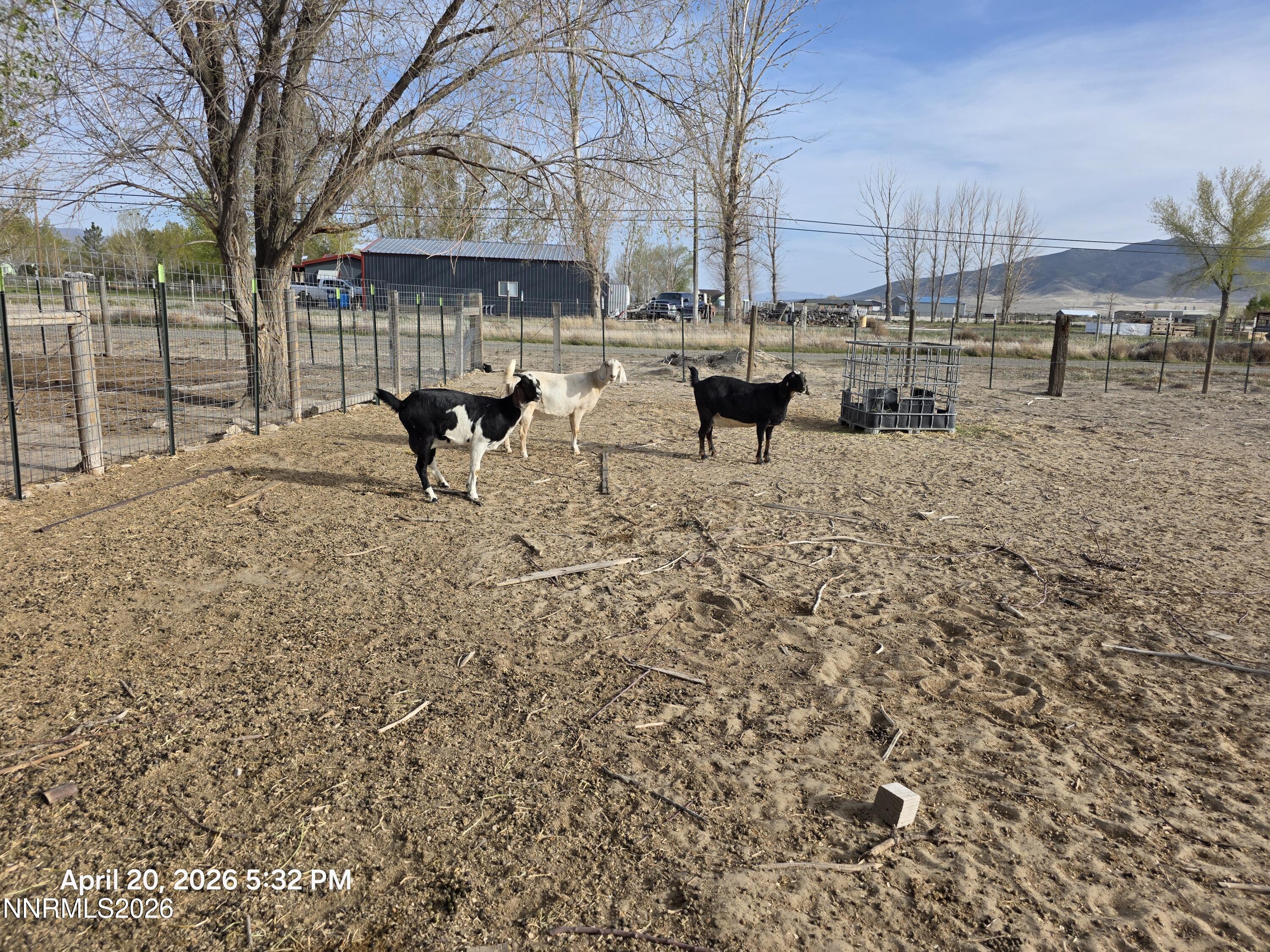 7100 Deer Street Property Photo 20