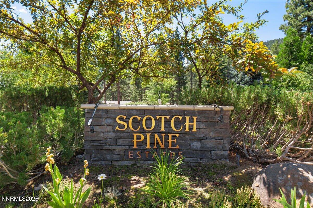 279 E Jeffrey Pine Road