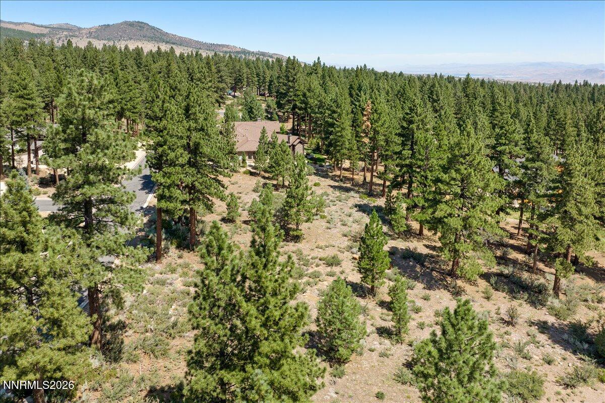 279 E Jeffrey Pine Road Property Photo 6