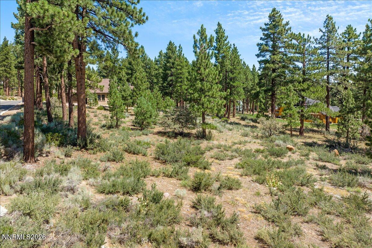 279 E Jeffrey Pine Road Property Photo 8
