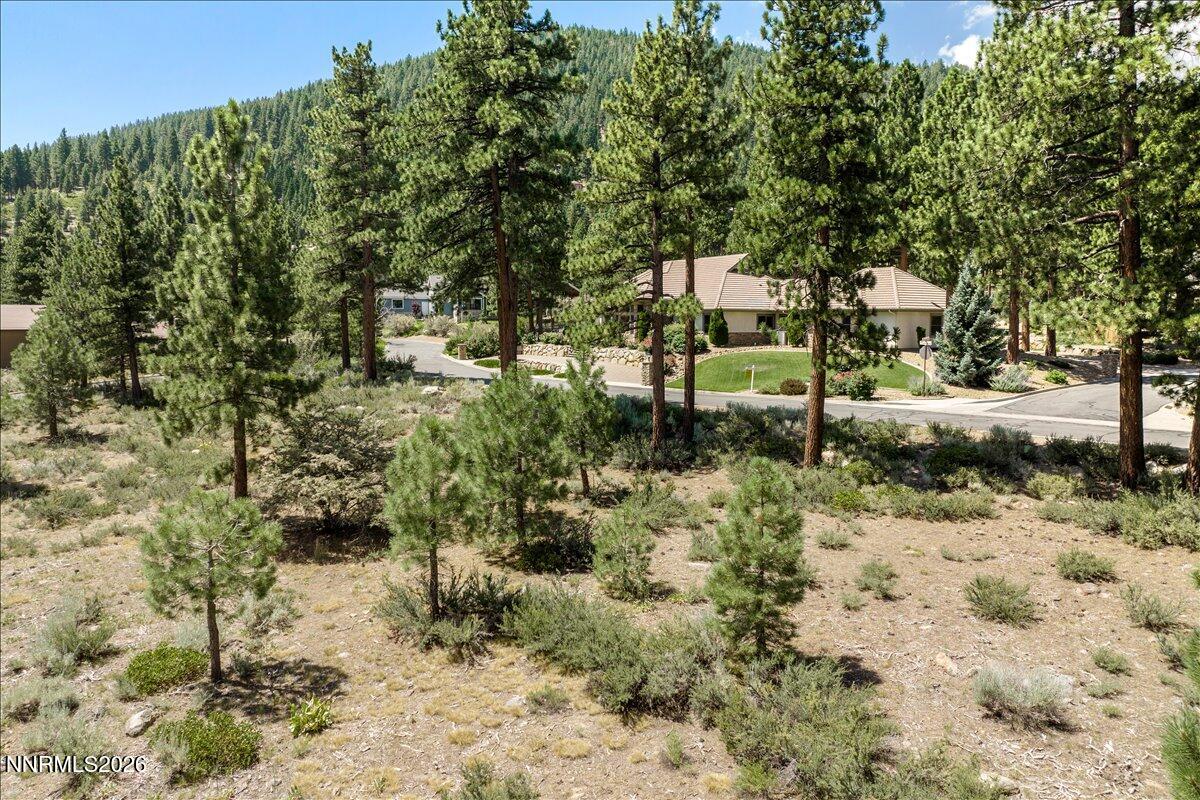 279 E Jeffrey Pine Road Property Photo 10