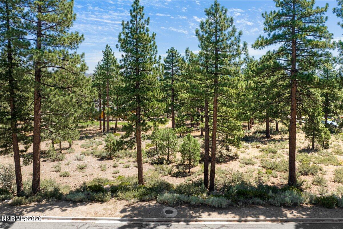 279 E Jeffrey Pine Road Property Photo 12