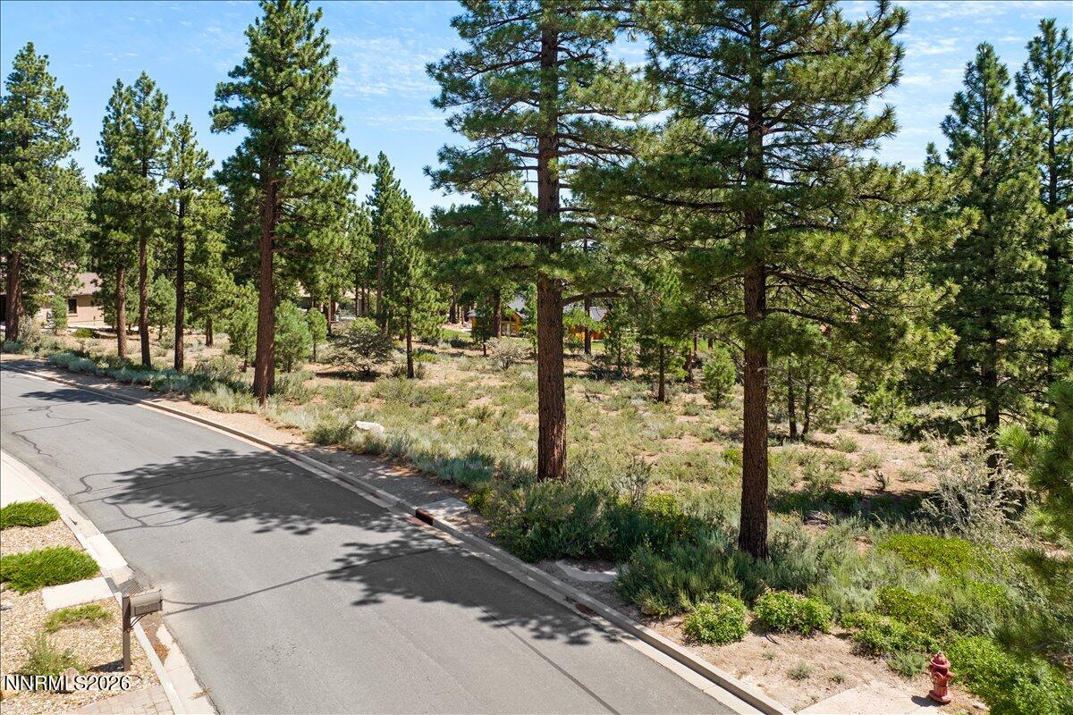 279 E Jeffrey Pine Road Property Photo 13