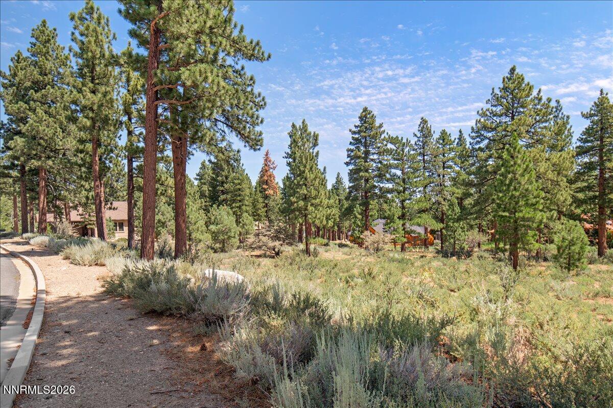 279 E Jeffrey Pine Road Property Photo 14