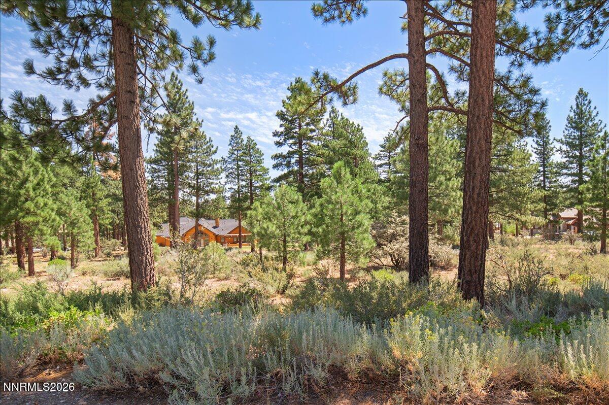 279 E Jeffrey Pine Road Property Photo 15