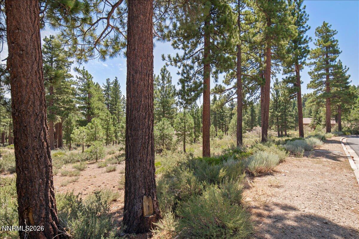 279 E Jeffrey Pine Road Property Photo 16