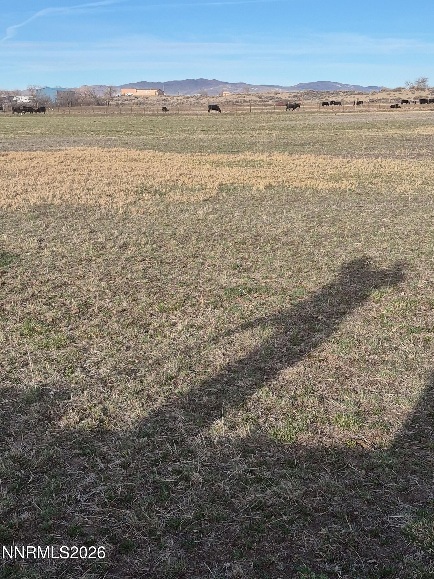 3280 Lone Tree Road Property Photo 18