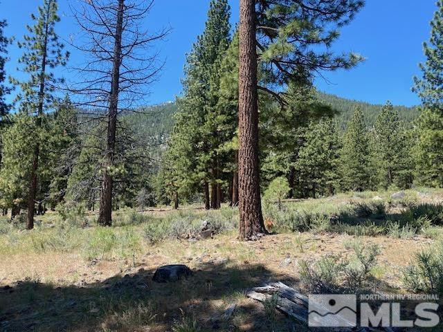 3584 Knob Point Trail Property Photo 2