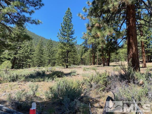 3584 Knob Point Trail Property Photo 3
