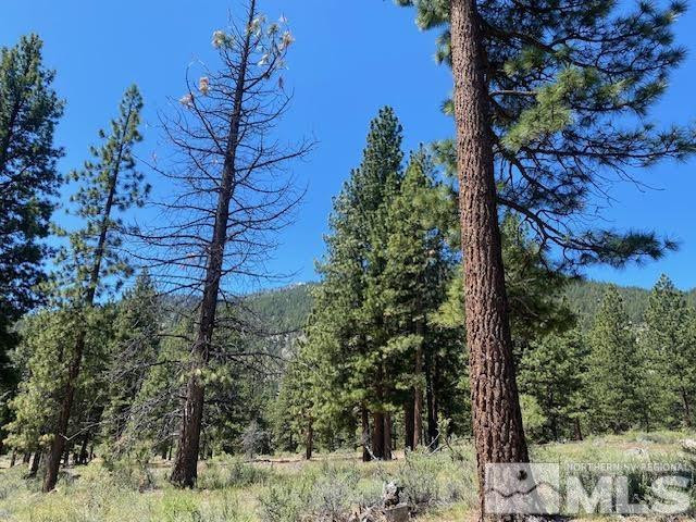 3584 Knob Point Trail Property Photo 4