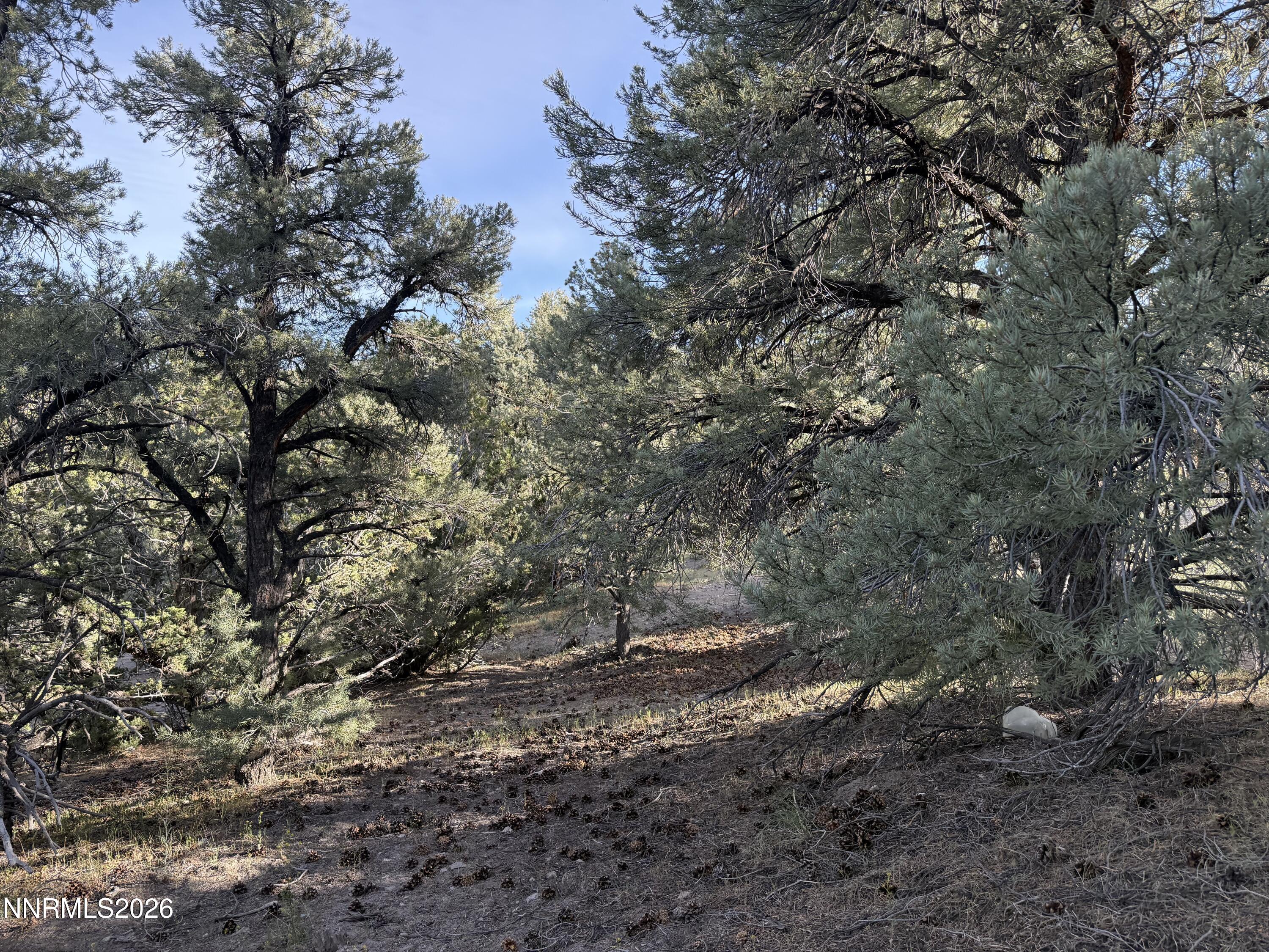 21695 Dortort Drive Property Photo 3