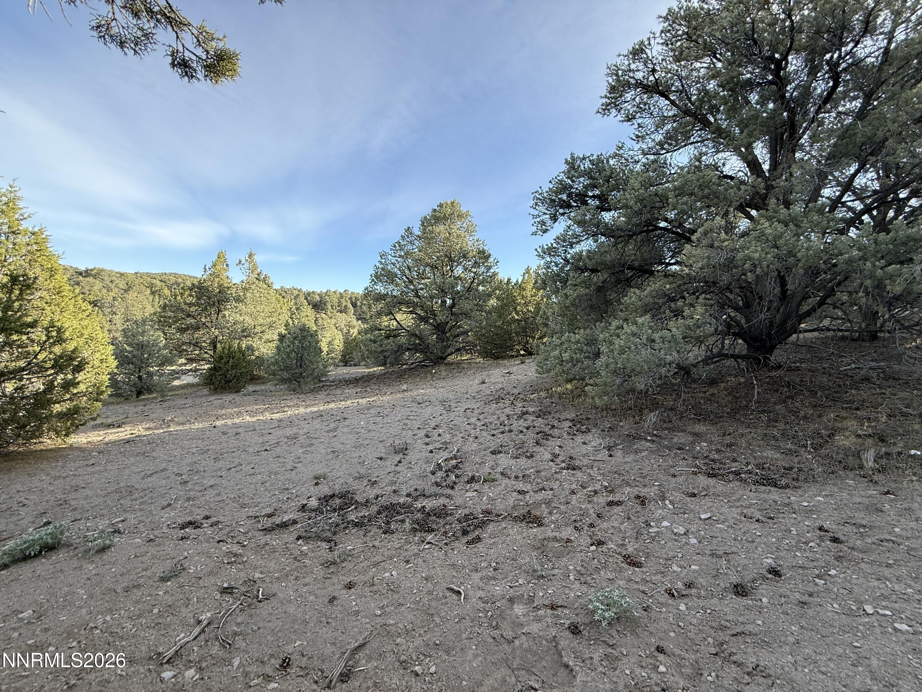 21695 Dortort Drive Property Photo 4
