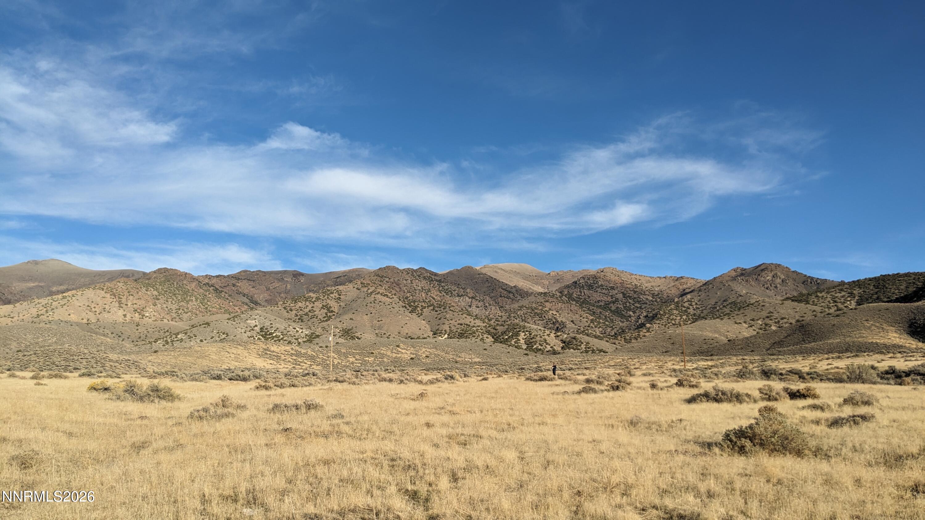 22045 Winter River Drive Property Photo 4