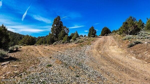 2120 Castle Peak Road Property Photo 4