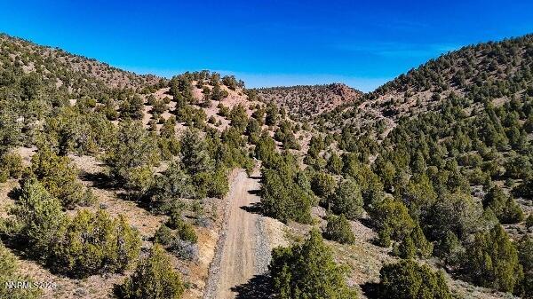 2120 Castle Peak Road Property Photo 16