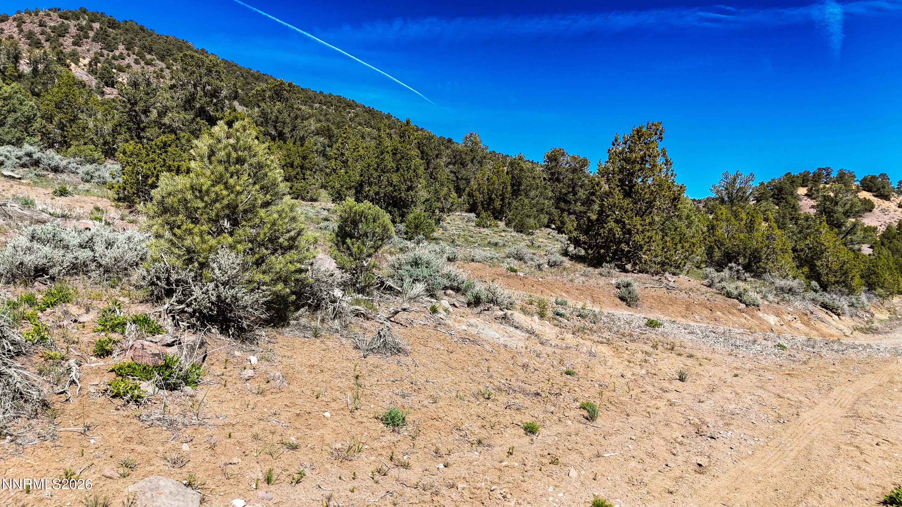 2120 Castle Peak Road Property Photo 19
