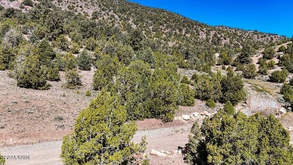 2120 Castle Peak Road Property Photo 22