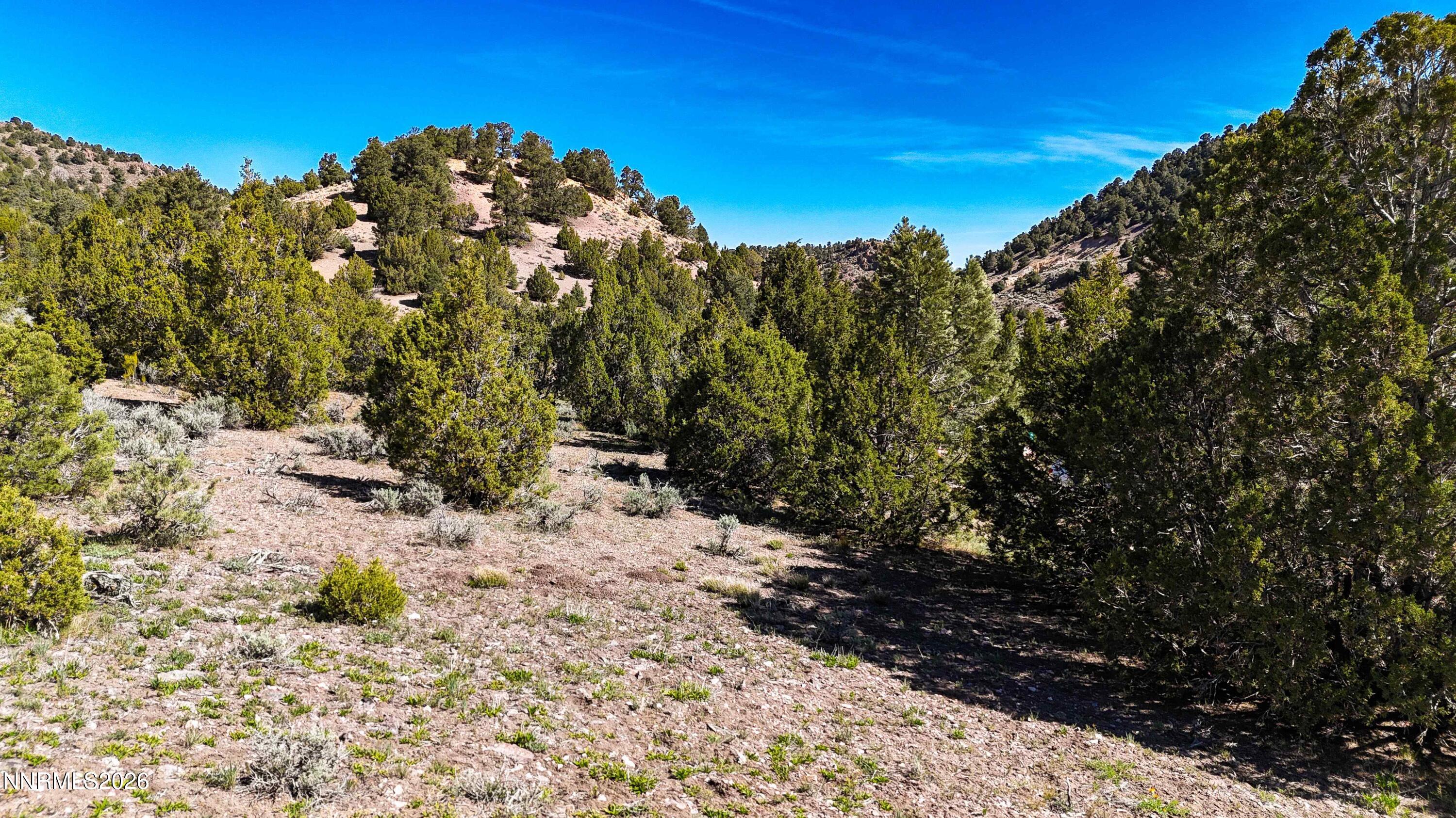 2120 Castle Peak Road Property Photo 23