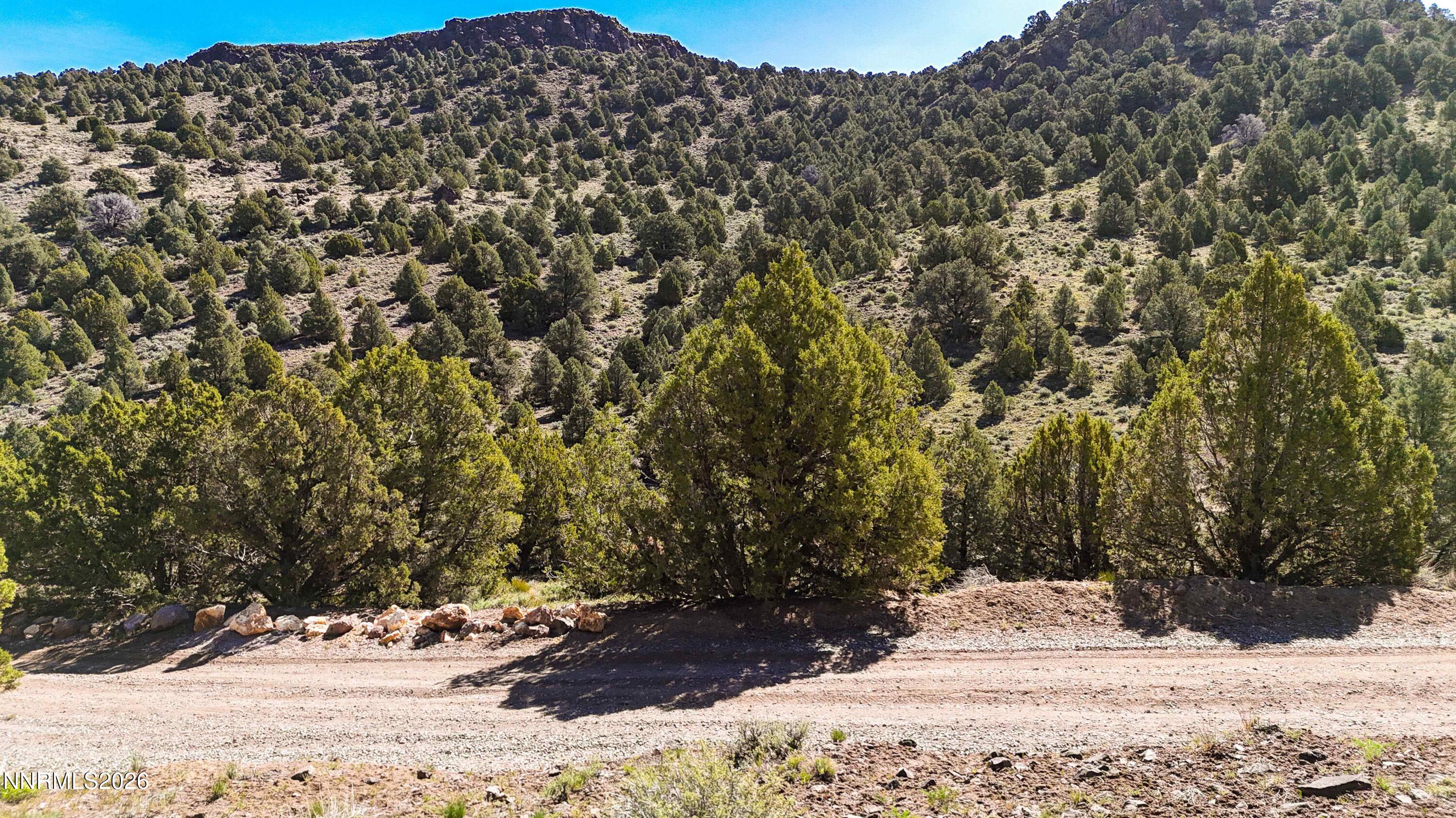 2120 Castle Peak Road Property Photo 25