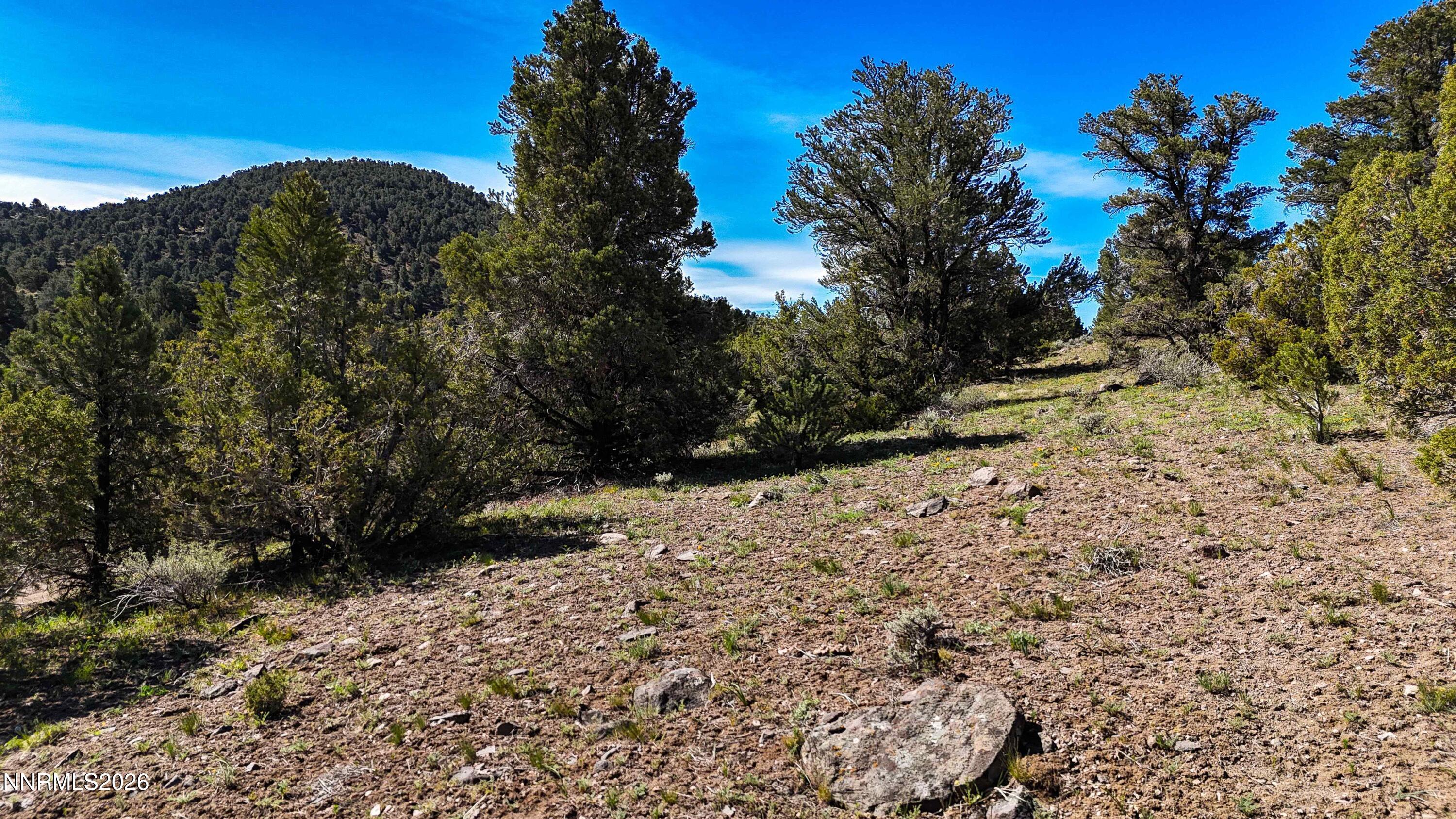 2120 Castle Peak Road Property Photo 27