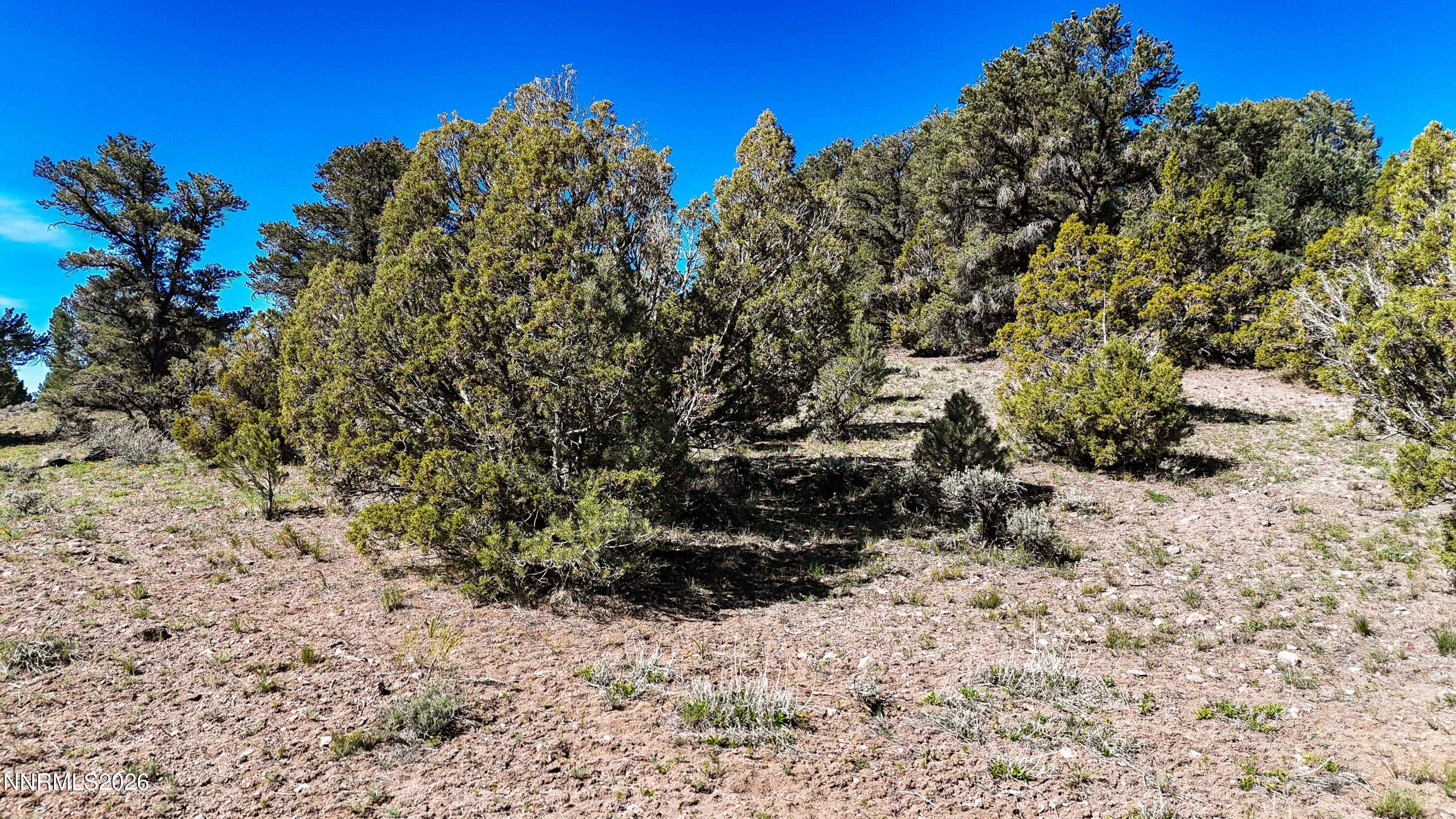 2120 Castle Peak Road Property Photo 28