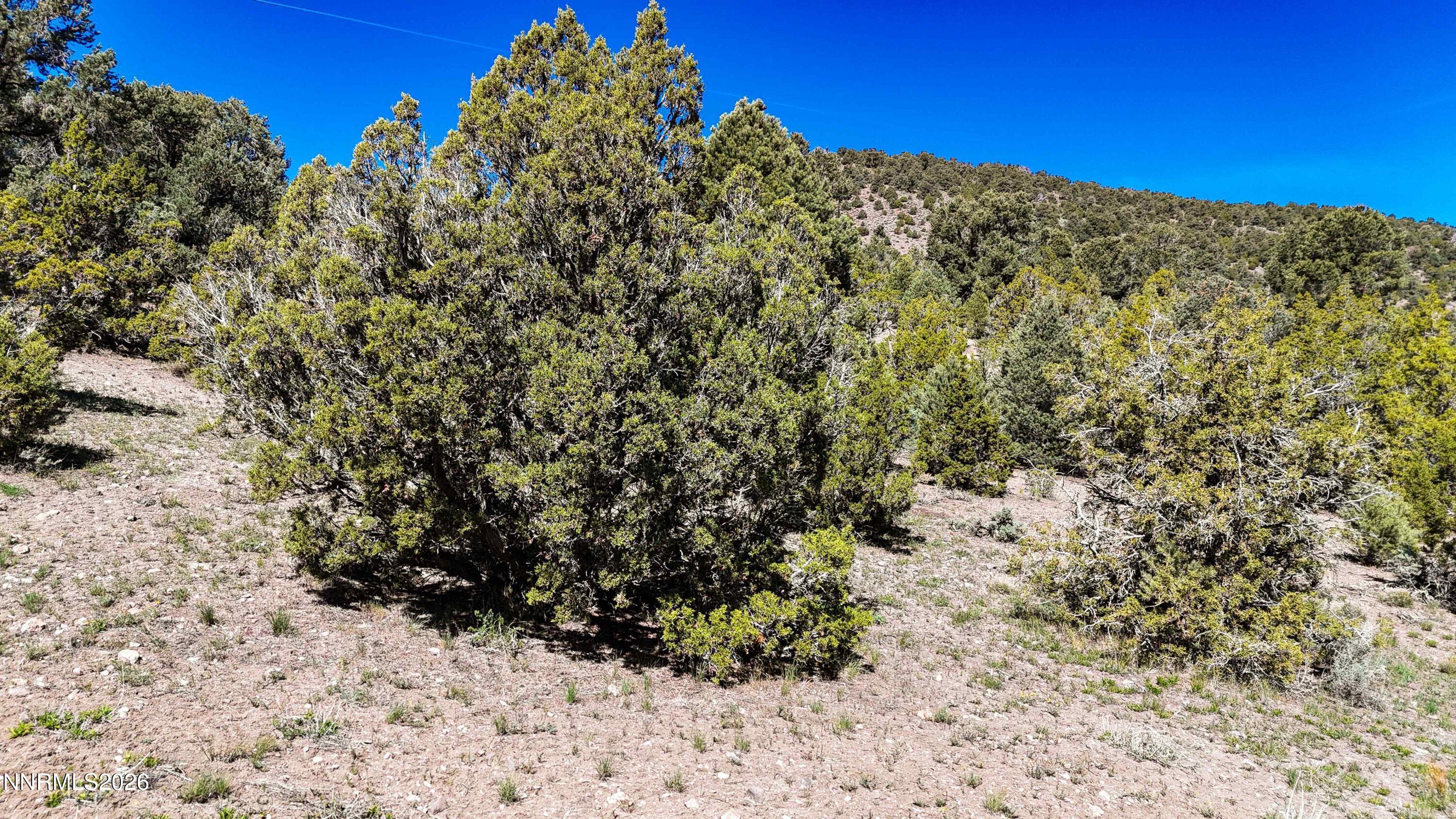 2120 Castle Peak Road Property Photo 29