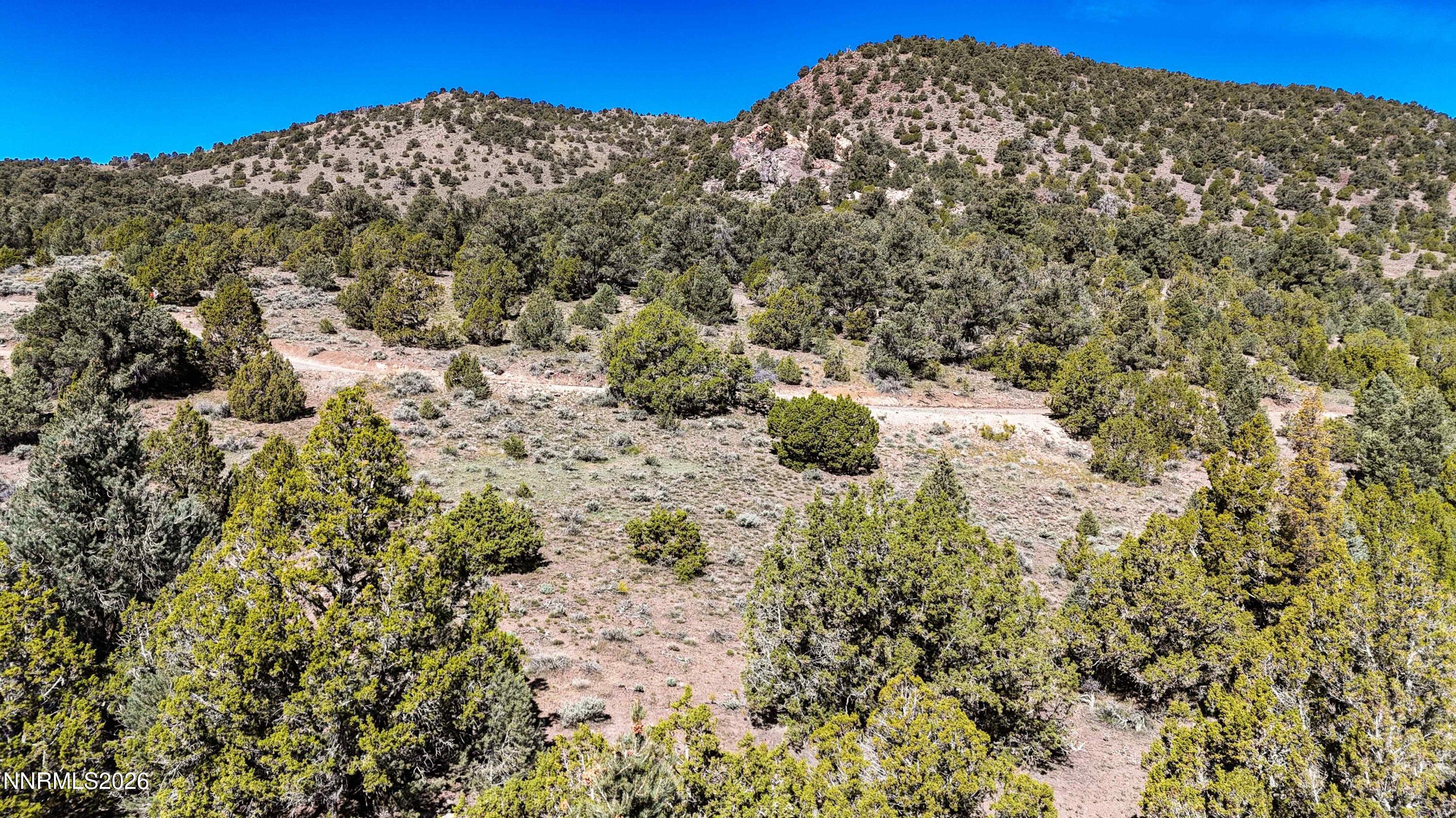 2120 Castle Peak Road Property Photo 33