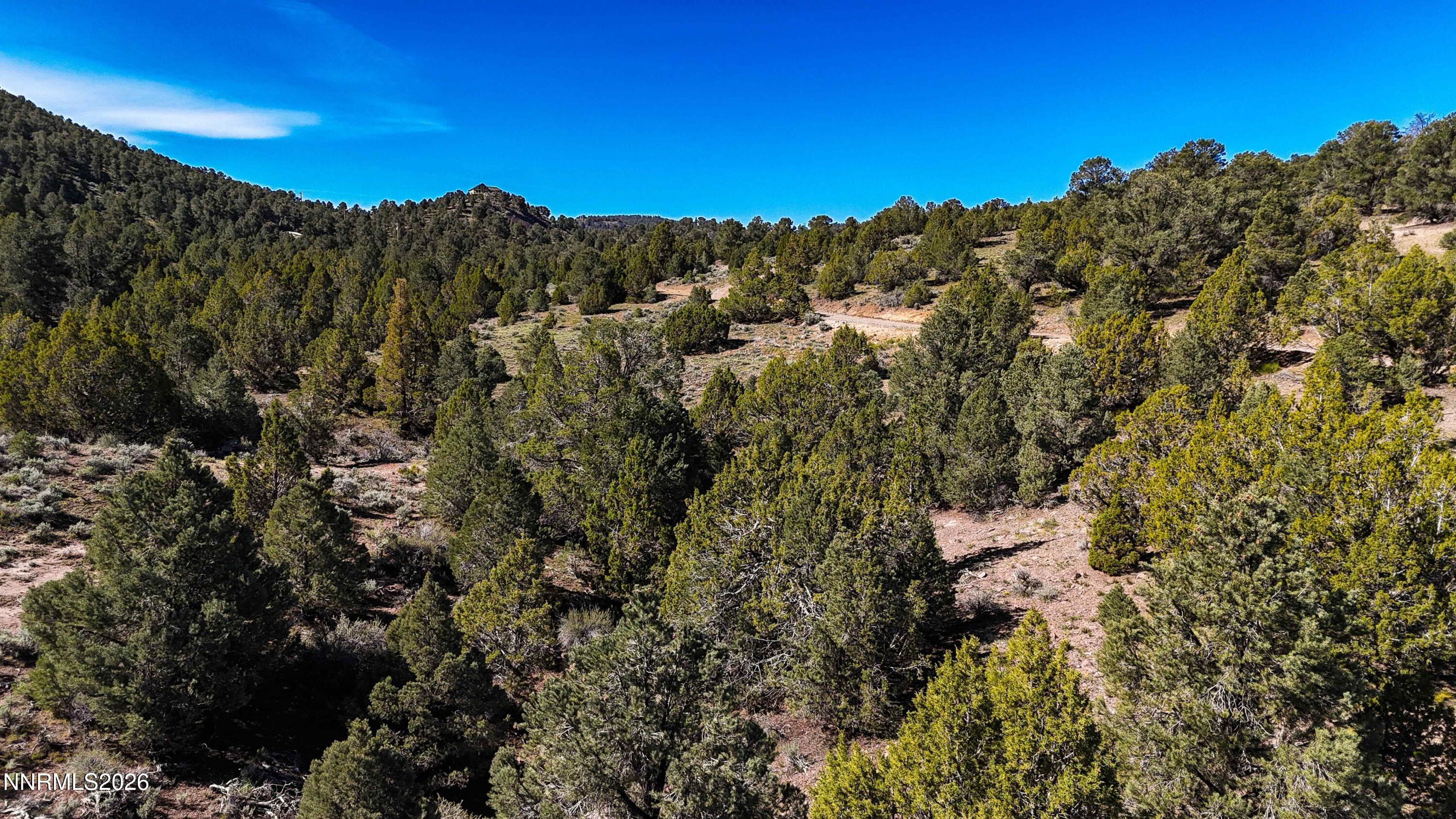2120 Castle Peak Road Property Photo 35