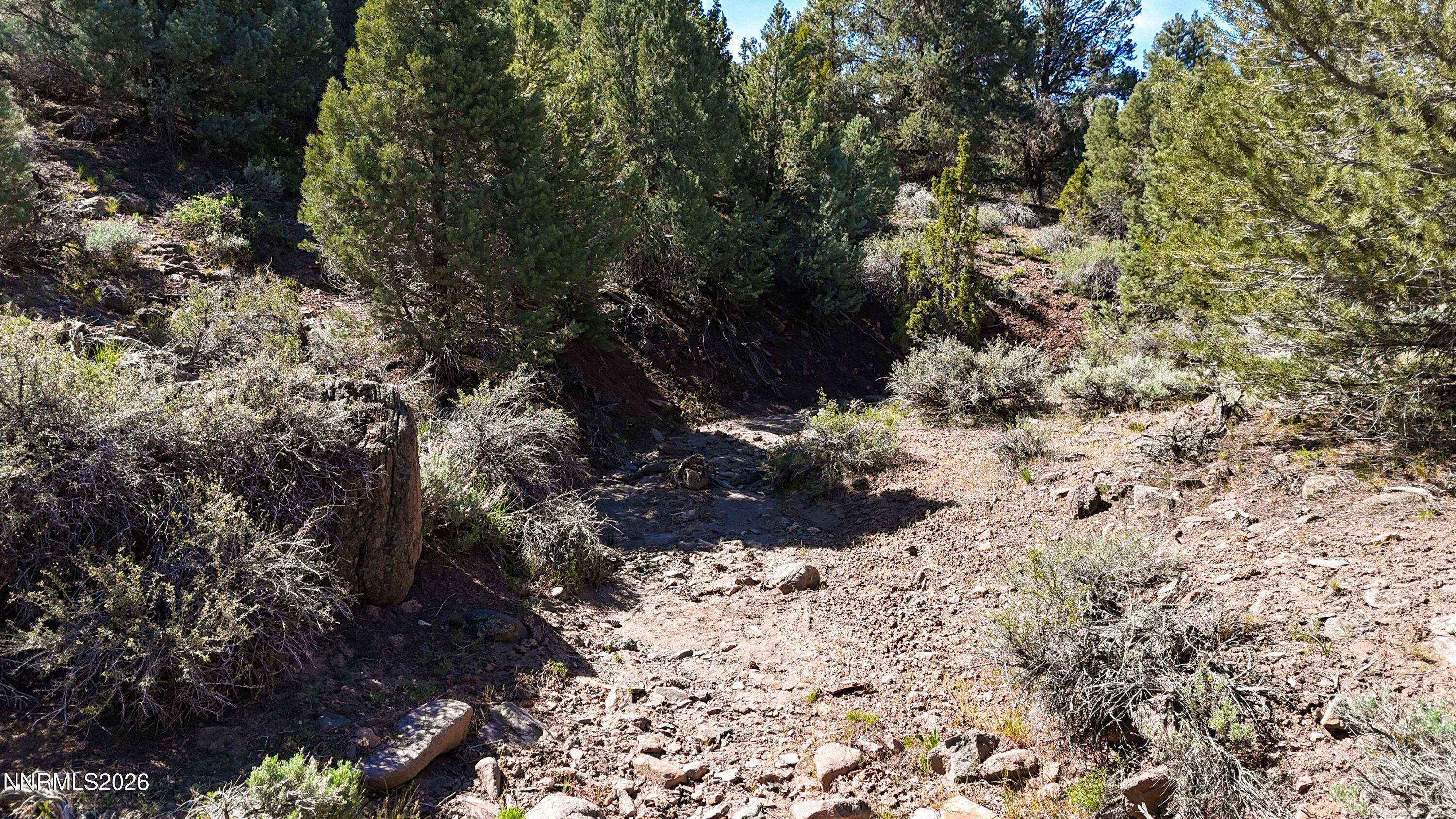 2120 Castle Peak Road Property Photo 37