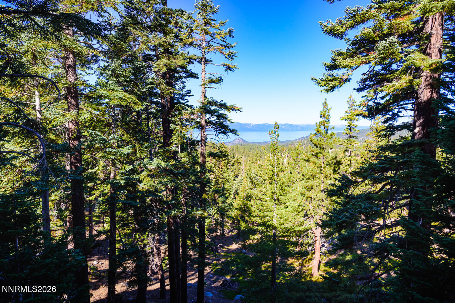 754 Milky Way Court # B Property Photo 1
