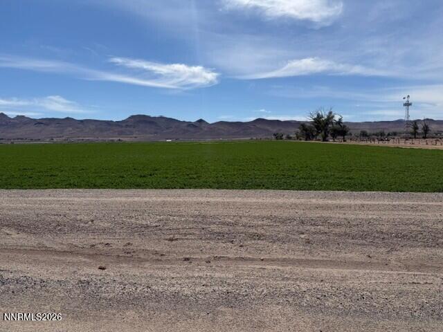 1 Pine Valley Court Property Photo 15