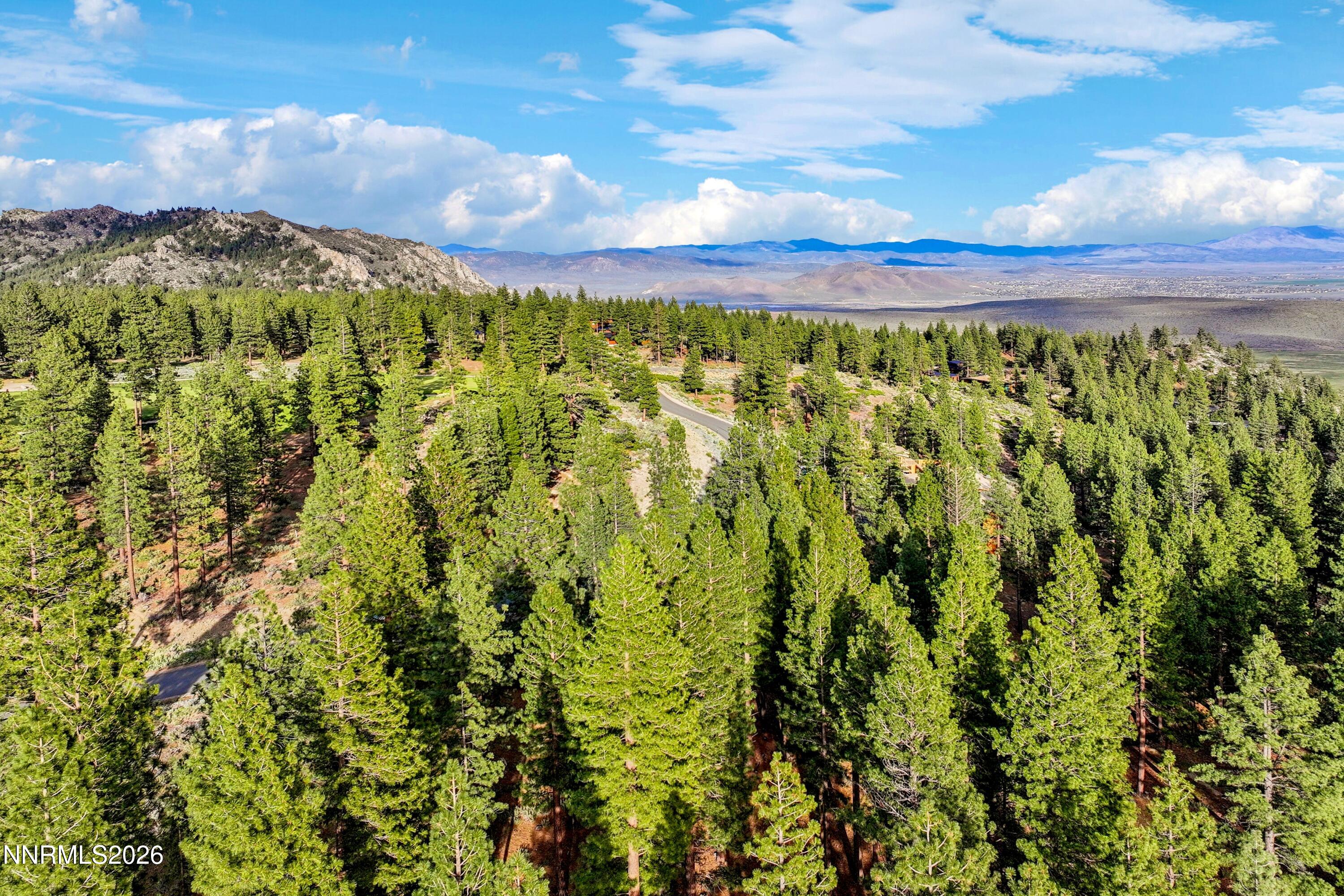3544 Knob Point Trail Property Photo 16
