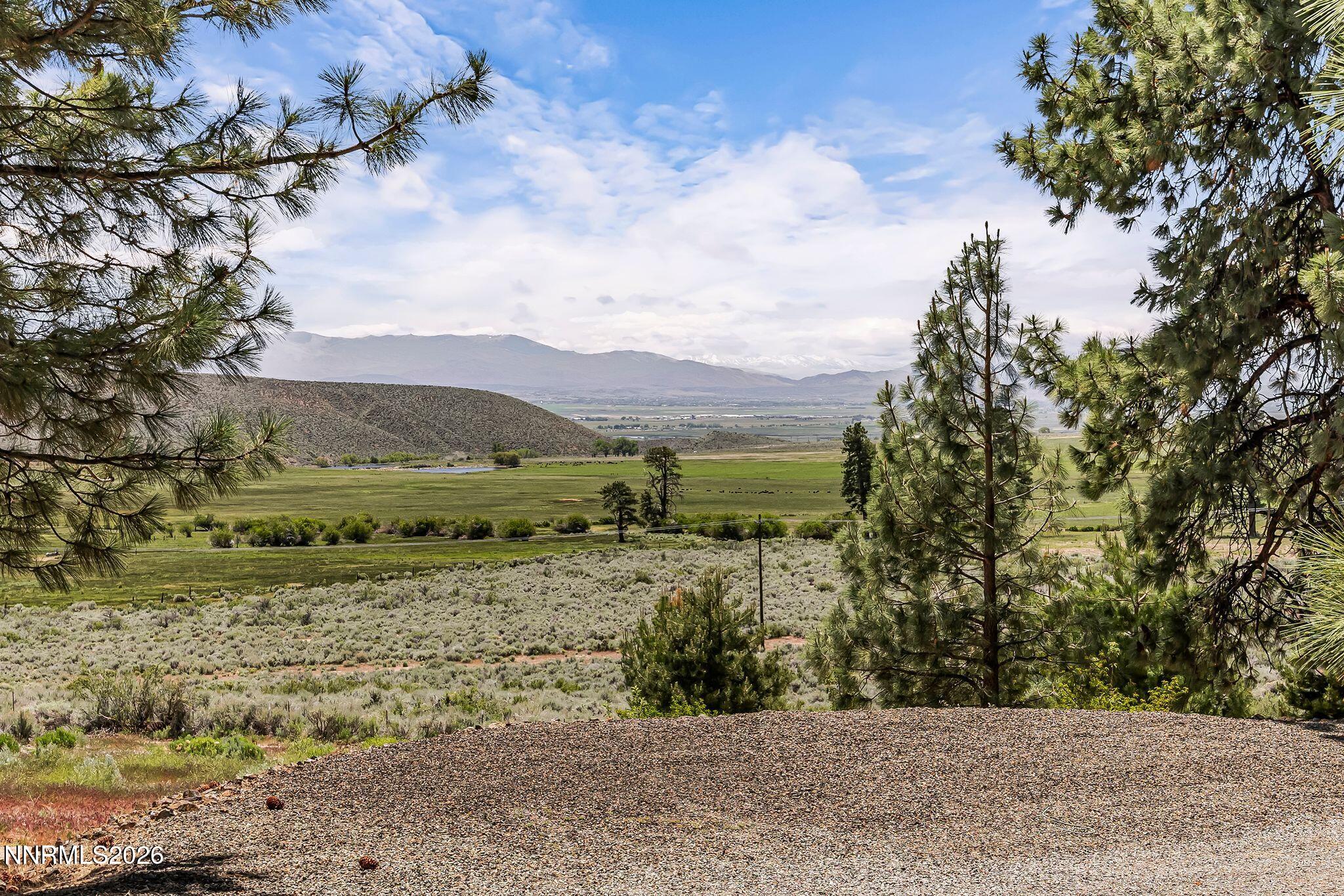 250 Jacks Valley Ranch Property Photo 37
